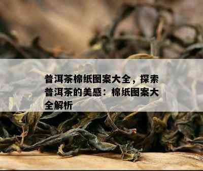 普洱茶棉纸图案大全，探索普洱茶的美感：棉纸图案大全解析