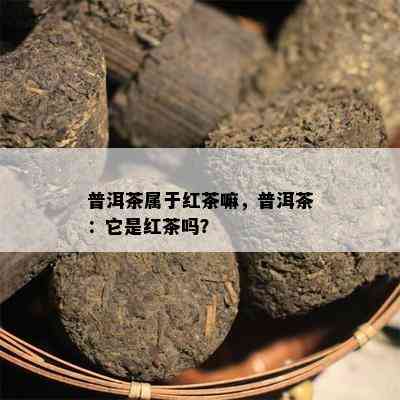 普洱茶属于红茶嘛，普洱茶：它是红茶吗？