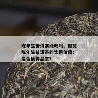 陈年生普洱茶能喝吗，探究陈年生普洱茶的饮用价值：是否值得品尝？