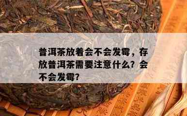 普洱茶放着会不会发霉，存放普洱茶需要注意什么？会不会发霉？