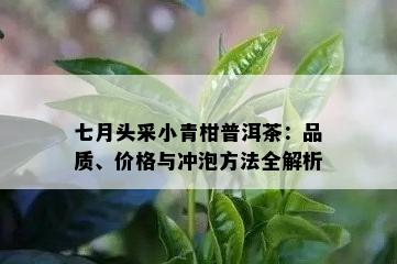 七月头采小青柑普洱茶：品质、价格与冲泡方法全解析