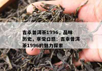 吉幸普洱茶1996，品味历史，享受口感：吉幸普洱茶1996的魅力探索