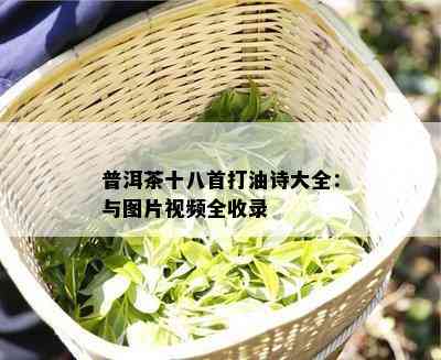 普洱茶十八首打油诗大全：与图片视频全收录