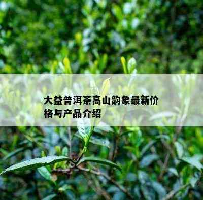 大益普洱茶高山韵象最新价格与产品介绍