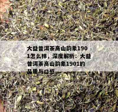 大益普洱茶高山韵象1901怎么样，深度解析：大益普洱茶高山韵象1901的品质与口感