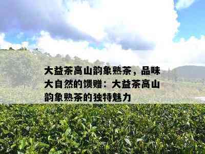 大益茶高山韵象熟茶，品味大自然的馈赠：大益茶高山韵象熟茶的独特魅力