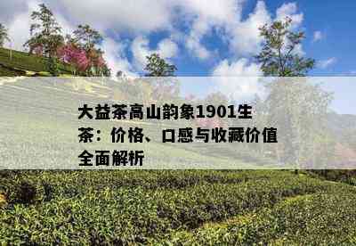 大益茶高山韵象1901生茶：价格、口感与收藏价值全面解析