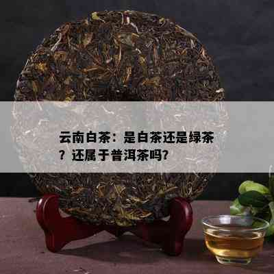 云南白茶：是白茶还是绿茶？还属于普洱茶吗？