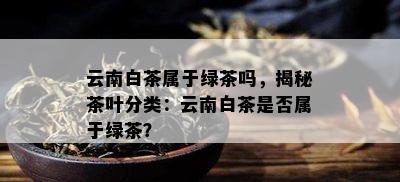 云南白茶属于绿茶吗，揭秘茶叶分类：云南白茶是否属于绿茶？