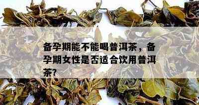 备孕期能不能喝普洱茶，备孕期女性是否适合饮用普洱茶？