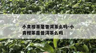 小青柑茶是普洱茶么吗-小青柑茶是普洱茶么吗