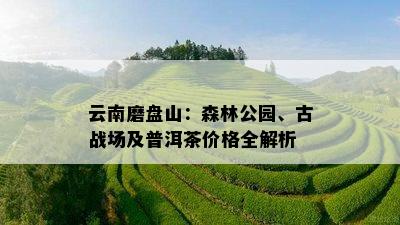 云南磨盘山：森林公园、古战场及普洱茶价格全解析