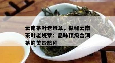 云南茶叶老班章，探秘云南茶叶老班章：品味顶级普洱茶的美妙旅程