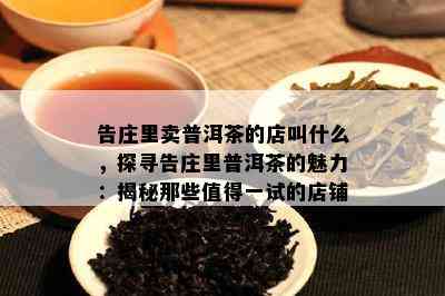 告庄里卖普洱茶的店叫什么，探寻告庄里普洱茶的魅力：揭秘那些值得一试的店铺