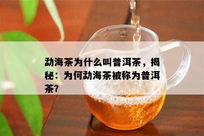 勐海茶为什么叫普洱茶，揭秘：为何勐海茶被称为普洱茶？