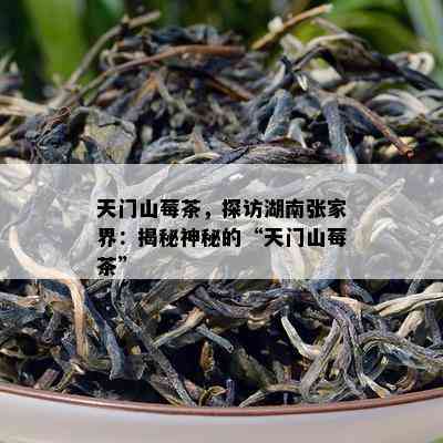 天门山莓茶，探访湖南张家界：揭秘神秘的“天门山莓茶”