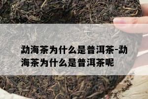 勐海茶为什么是普洱茶-勐海茶为什么是普洱茶呢