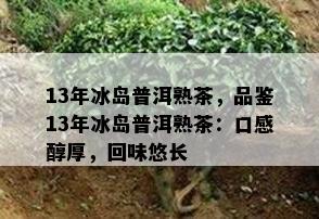 13年冰岛普洱熟茶，品鉴13年冰岛普洱熟茶：口感醇厚，回味悠长