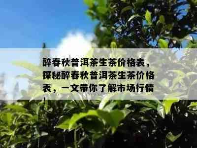 醉春秋普洱茶生茶价格表，探秘醉春秋普洱茶生茶价格表，一文带你了解市场行情！