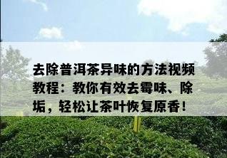 去除普洱茶异味的方法视频教程：教你有效去霉味、除垢，轻松让茶叶恢复原香！