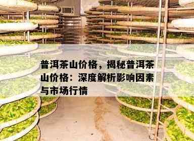 普洱茶山价格，揭秘普洱茶山价格：深度解析影响因素与市场行情