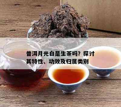 普洱月光白是生茶吗？探讨其特性、功效及归属类别