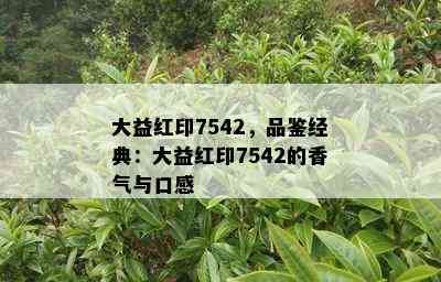 大益红印7542，品鉴经典：大益红印7542的香气与口感