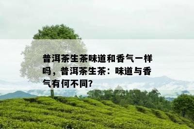 普洱茶生茶味道和香气一样吗，普洱茶生茶：味道与香气有何不同？