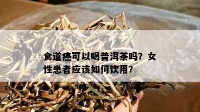 食道癌可以喝普洱茶吗？女性患者应该如何饮用？