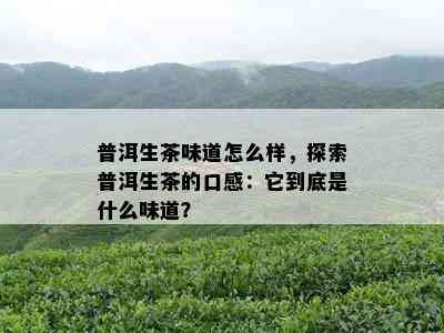 普洱生茶味道怎么样，探索普洱生茶的口感：它到底是什么味道？