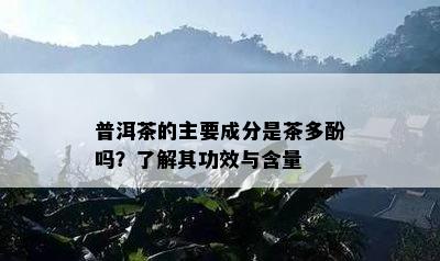 普洱茶的主要成分是茶多酚吗？了解其功效与含量