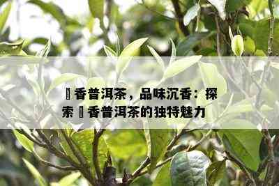 檽香普洱茶，品味沉香：探索檽香普洱茶的独特魅力