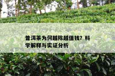 普洱茶为何越陈越值钱？科学解释与实证分析