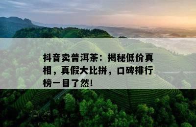 抖音卖普洱茶：揭秘低价真相，真假大比拼，口碑排行榜一目了然！