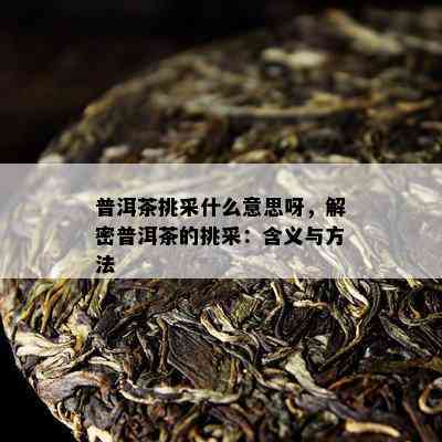 普洱茶挑采什么意思呀，解密普洱茶的挑采：含义与方法