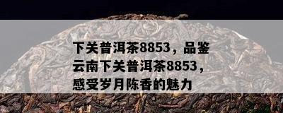 下关普洱茶8853，品鉴云南下关普洱茶8853，感受岁月陈香的魅力