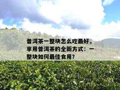 普洱茶一整块怎么吃更好，享用普洱茶的全新方式：一整块如何更佳食用？