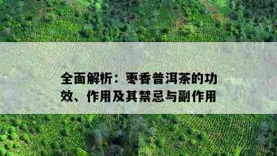 全面解析：枣香普洱茶的功效、作用及其禁忌与副作用