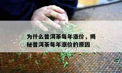 为什么普洱茶每年涨价，揭秘普洱茶每年涨价的原因