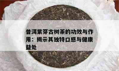 普洱紫芽古树茶的功效与作用：揭示其独特口感与健康益处