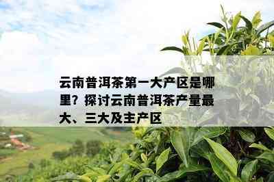 云南普洱茶之一大产区是哪里？探讨云南普洱茶产量更大、三大及主产区