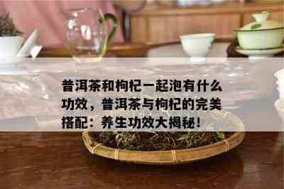 普洱茶和枸杞一起泡有什么功效，普洱茶与枸杞的完美搭配：养生功效大揭秘！