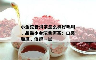 小金沱普洱茶怎么样好喝吗，品尝小金沱普洱茶：口感醇厚，值得一试