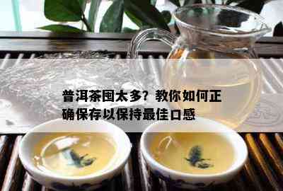 普洱茶囤太多？教你如何正确保存以保持更佳口感