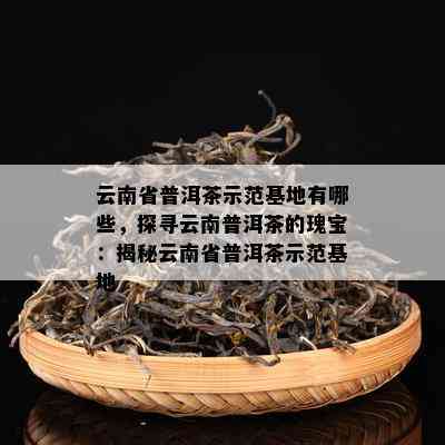 云南省普洱茶示范基地有哪些，探寻云南普洱茶的瑰宝：揭秘云南省普洱茶示范基地