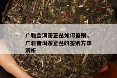 广雅普洱茶正丛如何鉴别，广雅普洱茶正丛的鉴别方法解析