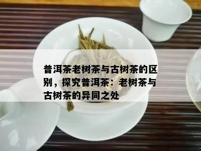 普洱茶老树茶与古树茶的区别，探究普洱茶：老树茶与古树茶的异同之处