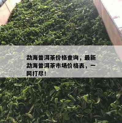 勐海普洱茶价格查询，最新勐海普洱茶市场价格表，一网打尽！