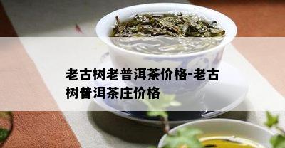 老古树老普洱茶价格-老古树普洱茶庄价格