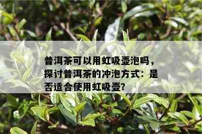 普洱茶可以用虹吸壶泡吗，探讨普洱茶的冲泡方式：是否适合使用虹吸壶？